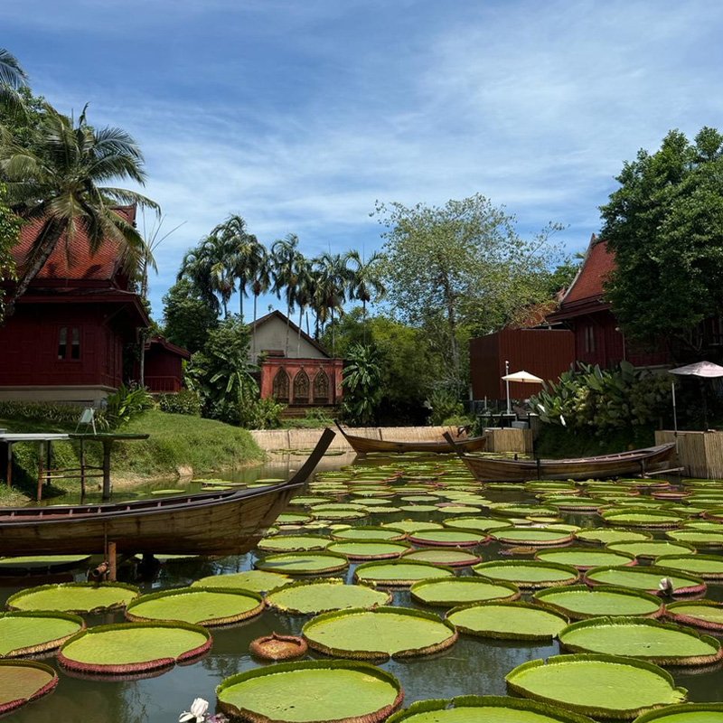 Яркие эмоции путешественников