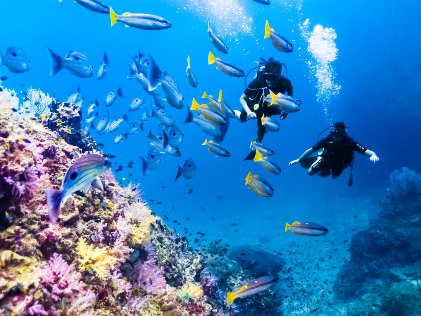 Остров Бамбу